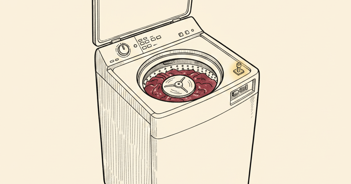 Illustrated top-load washing machine with the lid open standing up at the back, the drum and central agitator visible from above with wet clothes in burgundy ink wash; the lid switch on the chassis rim is highlighted in gold.